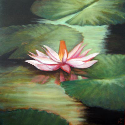 Water lily